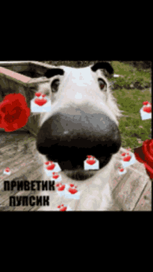 a picture of a dog with roses and hearts on it