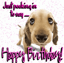a birthday card with a dog and the words " just peeking in to say "