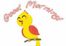 a yellow bird with red feathers is sitting on a branch with the words " good morning " above it