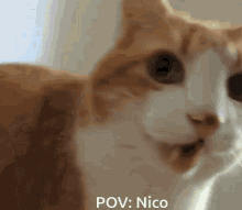 Pov Nico GIF - Pov Nico GIFs