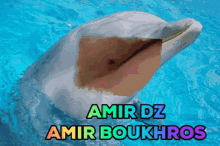 Amir Boukhors Amirdz GIF - Amir Boukhors Amirdz Khanadz GIFs