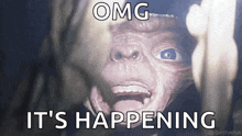 a close up of a monkey 's face with the words `` omg it 's happening ''