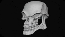 Skull Bararariraro GIF - Skull Bararariraro Skull Emoji GIFs