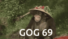 Gog69 Gogcord GIF - Gog69 Gogcord Monkey GIFs