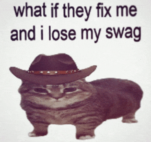 a cat wearing a cowboy hat with the words " what if they fix me and i lose my swag "