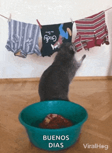 Laundry Hanging Clothes GIF - Laundry Hanging Clothes Drying Clothes GIFs