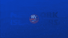 New York Islanders Isles GIF