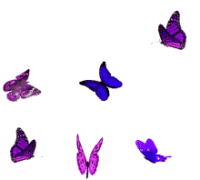 borboletas butterflies beautiful flying