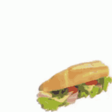Sandwich Meme GIF