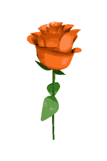 neked hoztam rose flower spinning