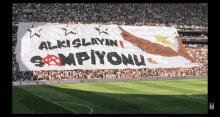 Beşiktaş Cheering GIF - Beşiktaş Cheering GIFs