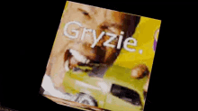 Gryzie Cube GIF