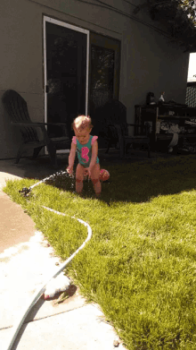 sprinkler babylily excited water