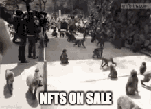 Nft On Sale Monkey GIF