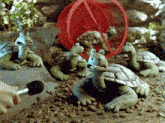 a group of turtles are being interviewed by a person
