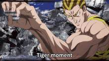 Tiger Moment GIF - Tiger Moment Opm GIFs