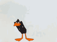 Looney Toons Daffy Duck GIF
