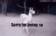 Famous Hooooo GIF - Famous Hooooo Llama GIFs