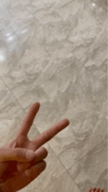 a person is giving a peace sign with their fingers .