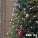 A Cat Is Playing With The Christmas Ornament Viralhog GIF - A Cat Is Playing With The Christmas Ornament Cat Viralhog GIFs