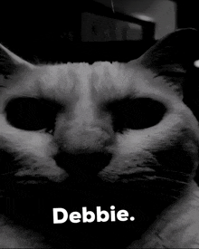 a black and white photo of a cat with the name debbie
