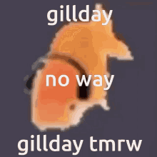 Gill Gillday GIF - Gill Gillday Fish GIFs