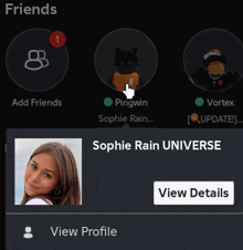 a screenshot of a facebook page with the name sophie rain universe on it