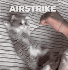 Airstrike Kitten GIF - Airstrike Kitten Kittenfunny GIFs