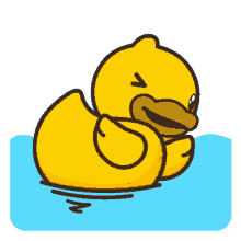 rubber duck swimming