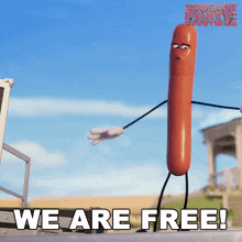 We Are Free Frank GIF