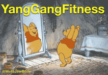 yang gang fitness yang gang winnie the pooh