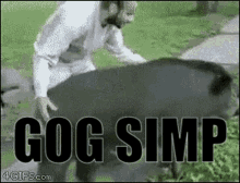 Gog Gogsimp GIF - Gog Gogsimp Simp GIFs