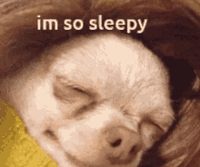 Off Work Im So Sleepy GIF - Off Work Im So Sleepy Tired GIFs
