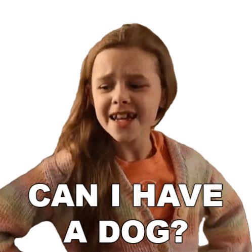 Can I Have A Dog Claire Crosby Sticker - Can I Have A Dog Claire Crosby The Crosbys Stickers