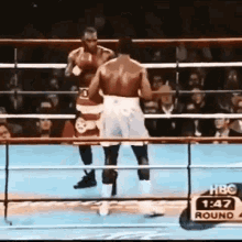Boxing Knockout GIF - Boxing Knockout Rahman GIFs