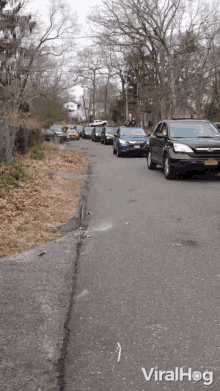 Line Of Cars Drive By GIF