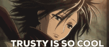 Mikasa Trusty GIF