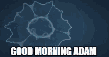 Good Morning Adam GIF - Good Morning Adam GIFs