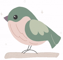 bird tap