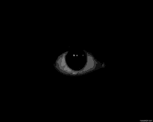 Black Eye Eye GIF - Black Eye Eye Dark GIFs