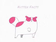 Fact Kitten GIF - Fact Kitten Mix GIFs