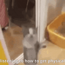 How To Get Physical Magdalena GIF - How To Get Physical Magdalena Bay GIFs
