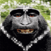 Funny Monkey GIF - Funny Monkey Ape GIFs