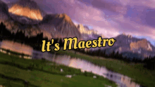 Maestro Its Maestro GIF - Maestro Its Maestro GIFs
