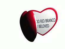 a pair of heart shaped glasses with a picture of a man and the words " barão do rio branco my beloved "