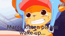 Marcy My Kitten Please Wake Up GIF - Marcy My Kitten Please Wake Up GIFs