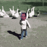 a man with glasses stands in front of a herd of geese
