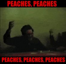 Terruko Peaches GIF