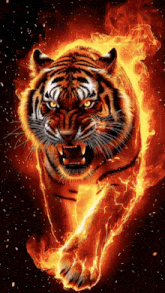 a tiger is surrounded by flames and fire