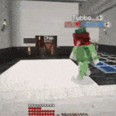 a person is playing a video game in a room with a turtle .